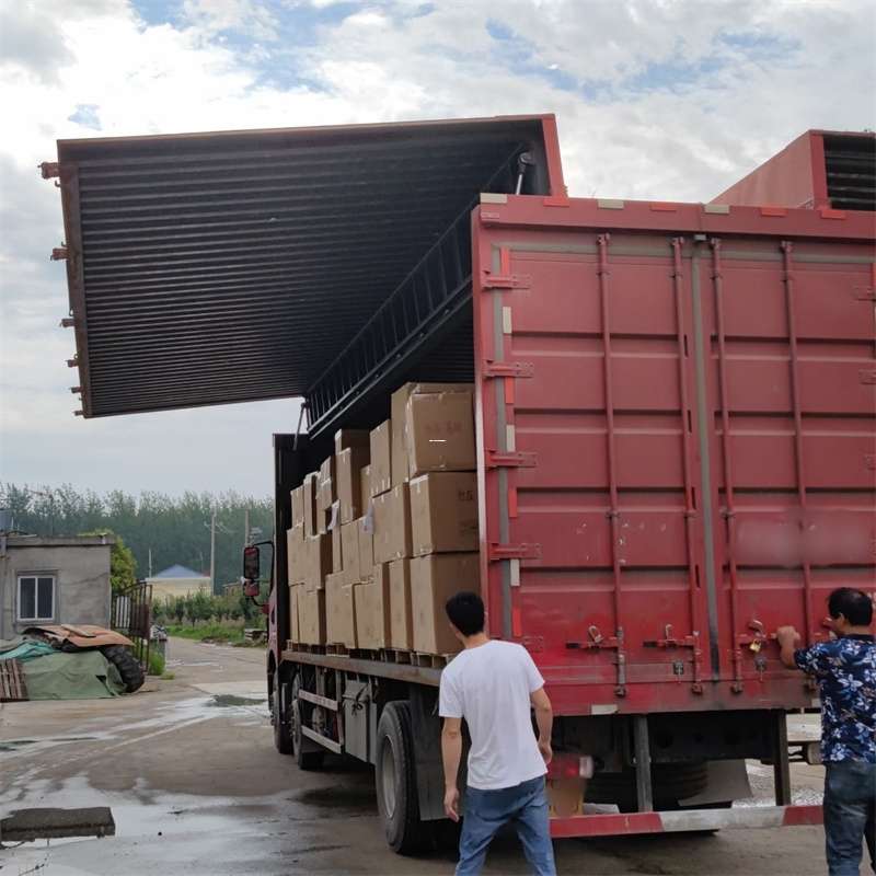 廊坊市扎囊县：物流专线的高效货运之旅