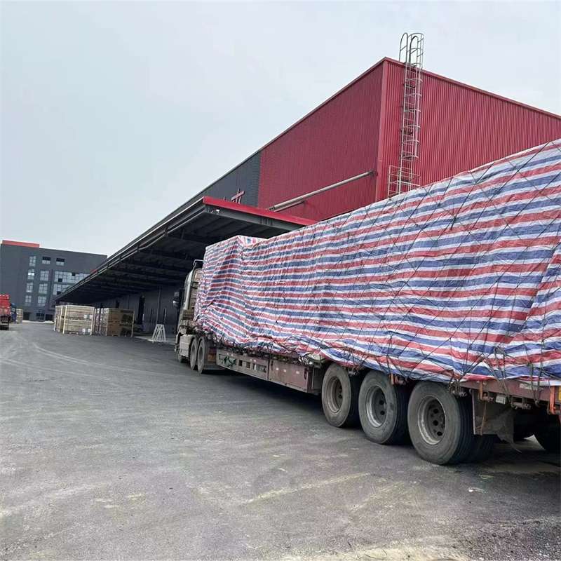 廊坊市墨脱县：物流专线的多元货运服务